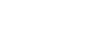 Physio2Go White Logo